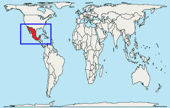 Messico